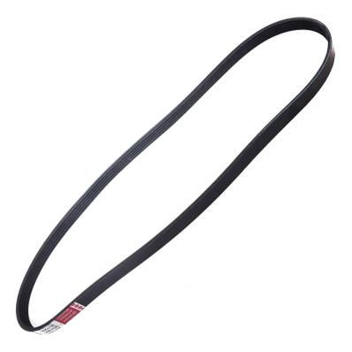 5PK1135-PCS-MS - PASEK WIELOKLINOWY "MS" 