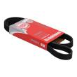 5PK1140-PCS-MS - PASEK WIELOKLINOWY "MS" 