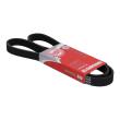 6PK1293-PCS-MS - PASEK WIELOKLINOWY "MS" 