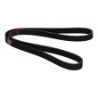 6PK1293-PCS-MS - PASEK WIELOKLINOWY "MS" 
