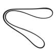 6PK1293-PCS-MS - PASEK WIELOKLINOWY "MS" 