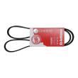 6PK1293-PCS-MS - PASEK WIELOKLINOWY "MS" 