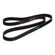 6PK1440-PCS-MS - PASEK WIELOKLINOWY "MS" FORD:FIESTA-II-COURIER