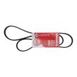 6PK1440-PCS-MS - PASEK WIELOKLINOWY "MS" FORD:FIESTA-II-COURIER