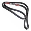 5PK1592-PCS-MS - PASEK WIELOKLINOWY "MS" 