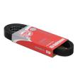6PK1715-PCS-MS - PASEK WIELOKLINOWY "MS" 