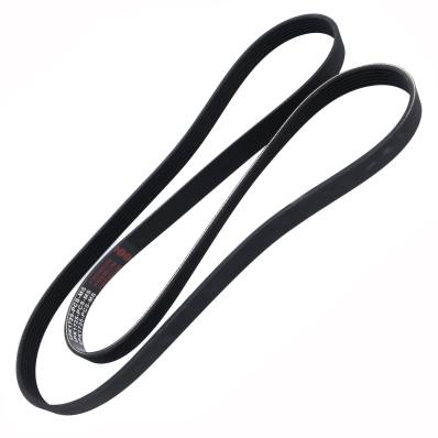 6PK1725-PCS-MS - PASEK WIELOKLINOWY "MS" 