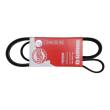 6PK1725-PCS-MS - PASEK WIELOKLINOWY "MS"AUDI:A6 CITROEN:XANTIA,XSARA-PICASSO DAEWOO:NUBIRA,NUBIRA-WAGON OPEL:ASTRA-F,