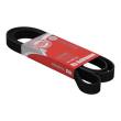 6PK1815-PCS-MS - PASEK WIELOKLINOWY "MS" 