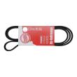6PK1815-PCS-MS - PASEK WIELOKLINOWY "MS" 