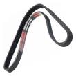 5PK905-PCS-MS - PASEK WIELOKLINOWY "MS" 