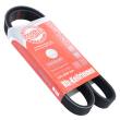 6PK1045-PCS-MS - PASEK WIELOKLINOWY "MS" 