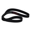 6PK1045-PCS-MS - PASEK WIELOKLINOWY "MS" 
