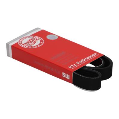 6PK1165-PCS-MS - PASEK WIELOKLINOWY "MS" 