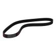 6PK906-PCS-MS - PASEK WIELOKLINOWY "MS" 
