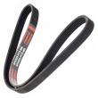 6PK923-PCS-MS - PASEK WIELOKLINOWY "MS" CITROEN:DISPATCH,JUMPY FIAT:BRAVA,SCUDO-COMBINATO FORD:GALAXY MAZDA:RX7-III