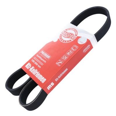6PK976-PCS-MS - PASEK WIELOKLINOWY "MS" 