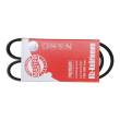 6PK890-PCS-MS - PASEK WIELOKLINOWY "MS" AUDI:80,A6 CITROEN:DISPATCH,JUMPY FIAT:SCUDO NISSAN:BLUEBIRD,MAXIMA,MICRA PE