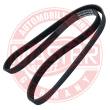 6PK1250-PCS-MS - PASEK WIELOKLINOWY "MS" 