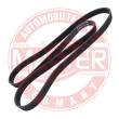 6PK1605-PCS-MS - PASEK WIELOKLINOWY "MS" 