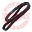 6PK1623-PCS-MS - PASEK WIELOKLINOWY "MS" 