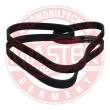 6PK1715-PCS-MS - PASEK WIELOKLINOWY "MS" 