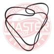 6PK1715-PCS-MS - PASEK WIELOKLINOWY "MS" 