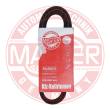 6PK1715-PCS-MS - PASEK WIELOKLINOWY "MS" 