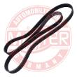 6PK1715-PCS-MS - PASEK WIELOKLINOWY "MS" 