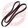 6PK1815-PCS-MS - PASEK WIELOKLINOWY "MS" 