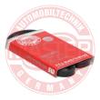 AVX-10X800-PCS-MS - PASEK KLINOWY "MS" 