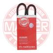 AVX-10X800-PCS-MS - PASEK KLINOWY "MS" 