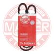 AVX-10X925-PCS-MS - PASEK KLINOWY "MS" 